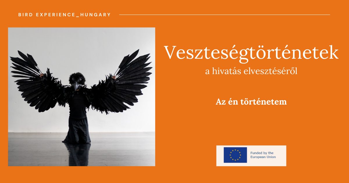 vesztesegtortenetek