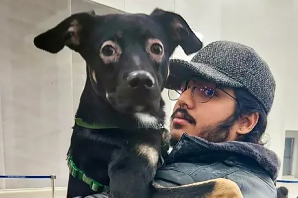 Háborús veszteségeink