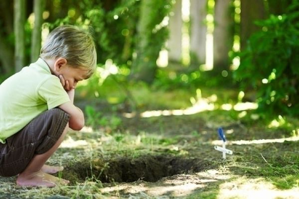 Reményvirág - Gyermekek gyászfeldolgozását segítő csoportvezető képzés