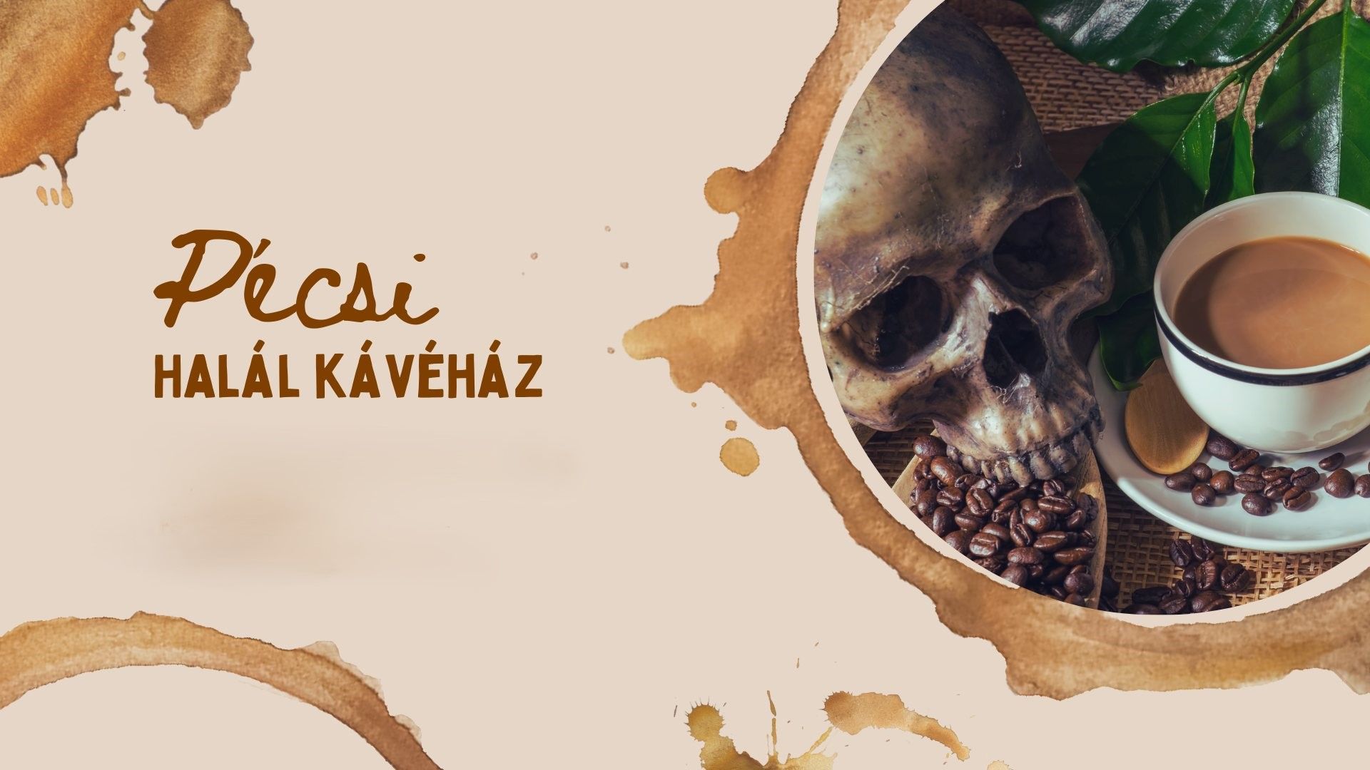 Halál Kávéház - egyre nagyobb a visszhangja Pécsett